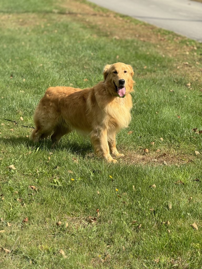 Leo