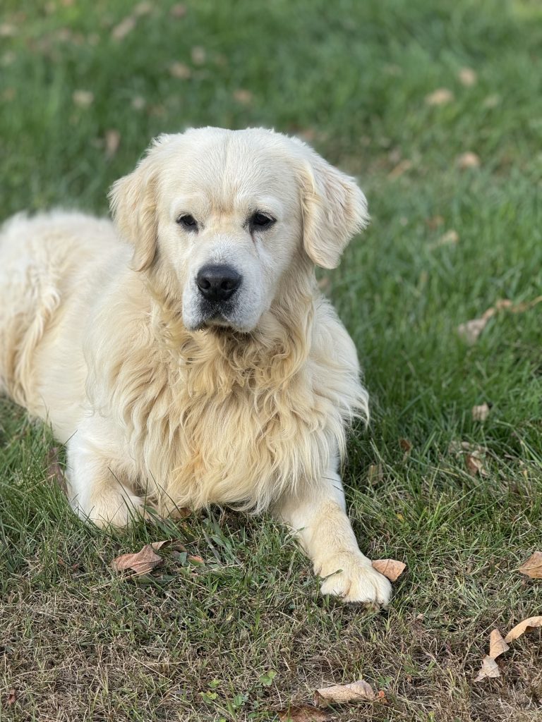 Duncan